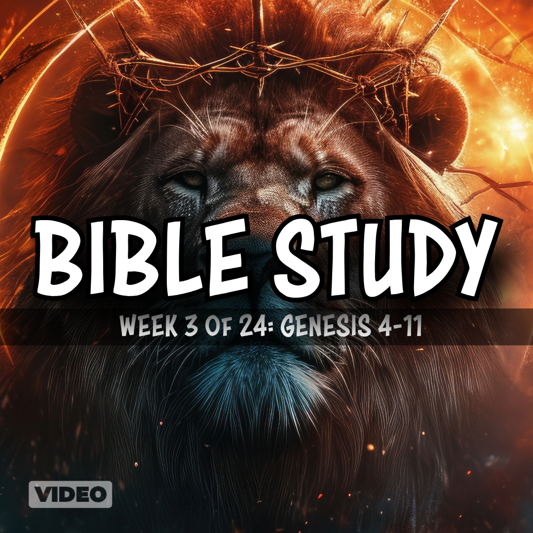 Bible Study: Week 3