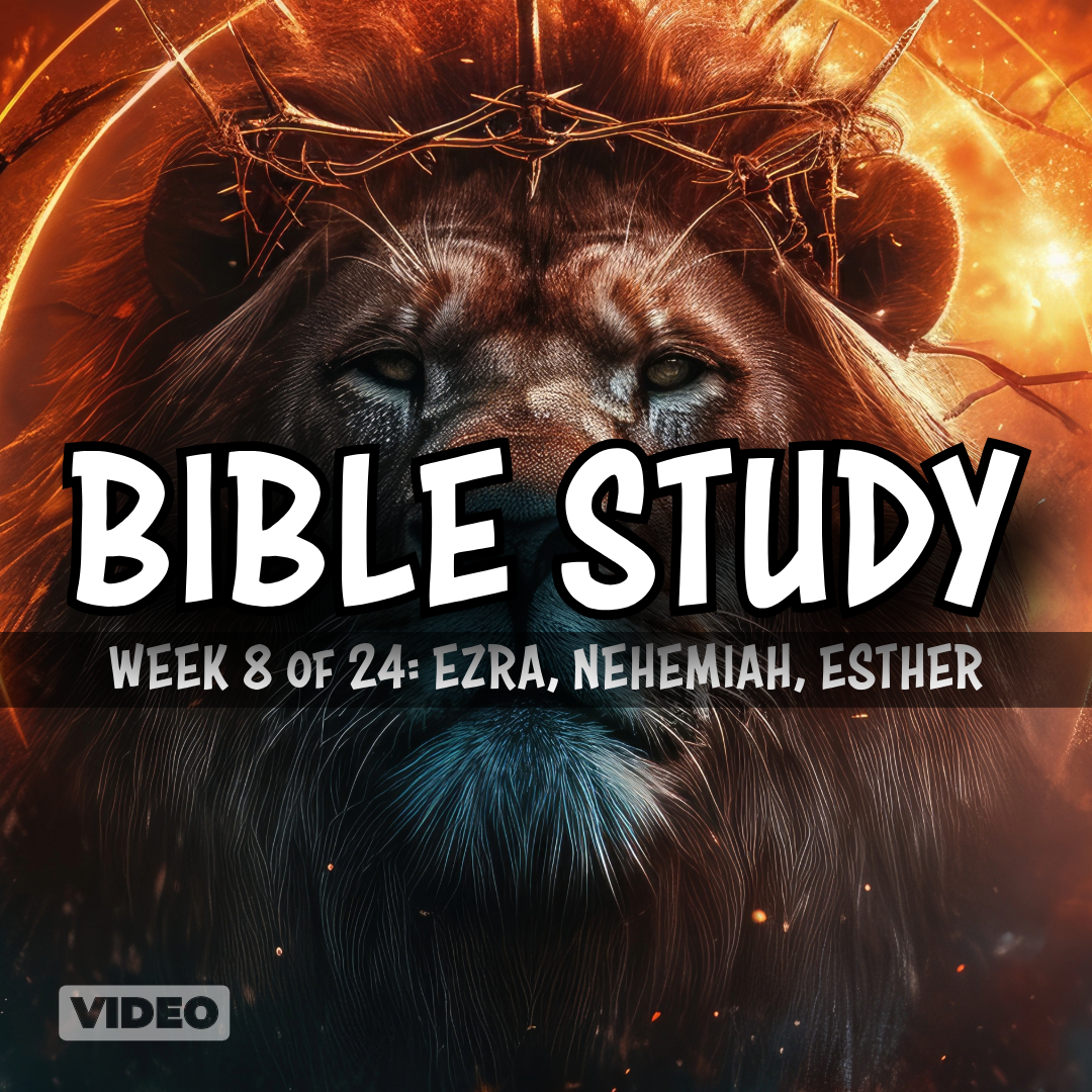 Bible Study: Week 8